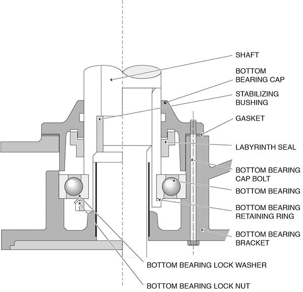 Thrust Bearing In Electric Motors at Sherrie Ward blog