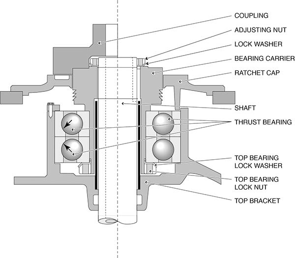 Pg42C - Efficient Plant