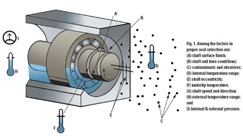 vibration analysis hydraulic pump Enhances Radial Performance Machine Seal Optimizing Shaft