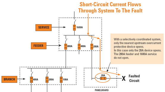 Maintenance Of Fuses Circuit Breakers In Selectively Coordinated